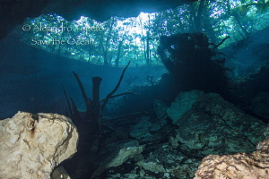 Chack Moll cenote, Playa del Carmen Mexico by Alejandro Topete 